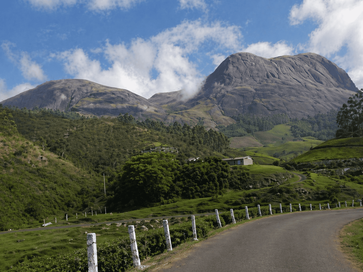 Top Station Munnar