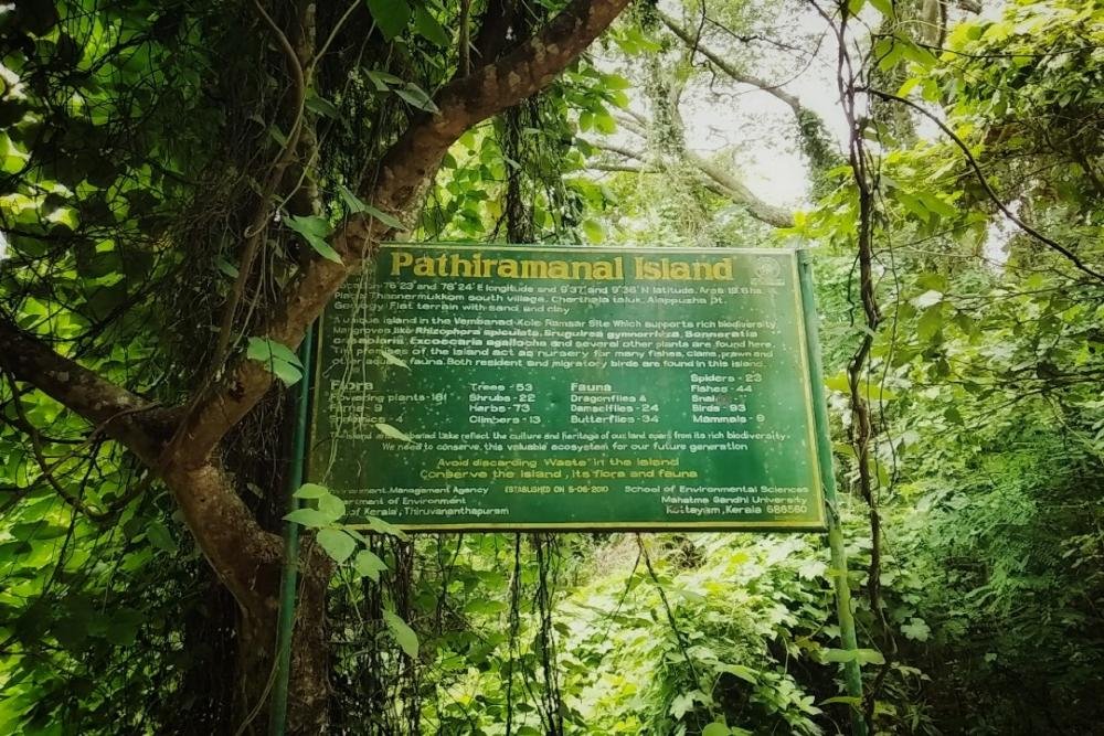 Pathiramanal Island Alappuzha – A Scenic Bird Watching Island in Kerala Backwaters